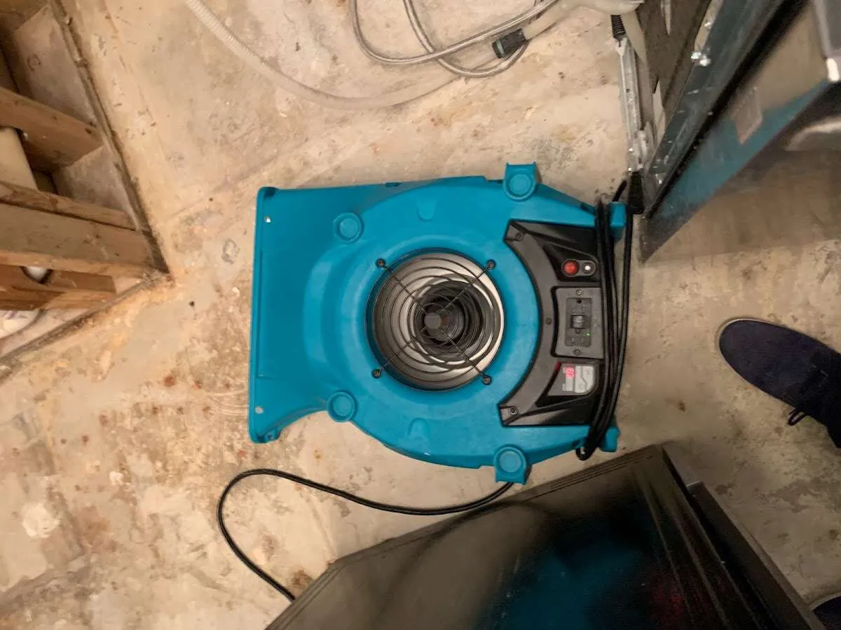 Air mover drying equipment for Mold Remediation & Removal in West Caldwell